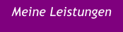Meine Leistungen