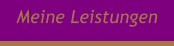 Meine Leistungen
